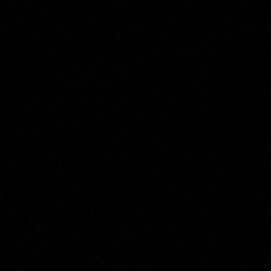 Meet your Posher, Damian